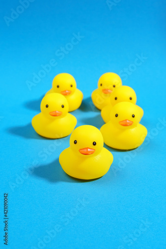 yellow rubber ducks on a blue background. Minimal design. vertical photo