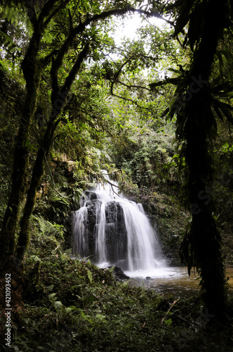 Cachoeira do M  ximo no Vale dos Veados - Parque Nacional da Serra da Boca  na.