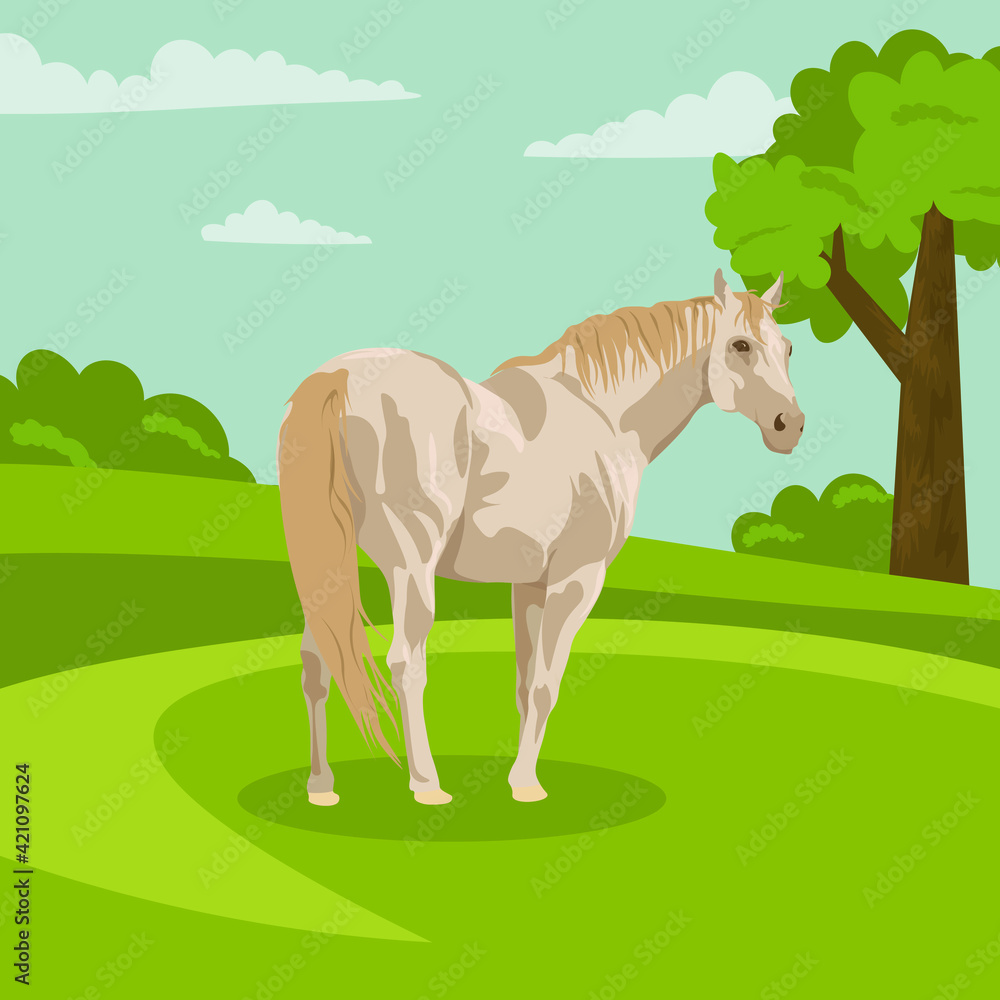 beautiful light beige horse on a white background. Horseback riding. farm. poster card with horses beautiful light beige horse on a white background. Horseback riding. farm. poster card with horses