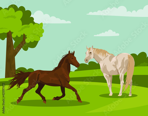 beautiful horses of different colors and in different poses against the backdrop of nature. Horseback riding. farm. poster card with horses