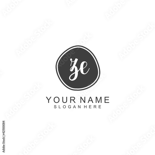 ZE beautiful Initial handwriting logo template
