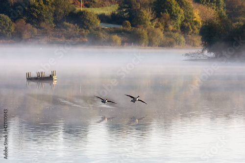 Misty morning at Weir Wood Reservoir