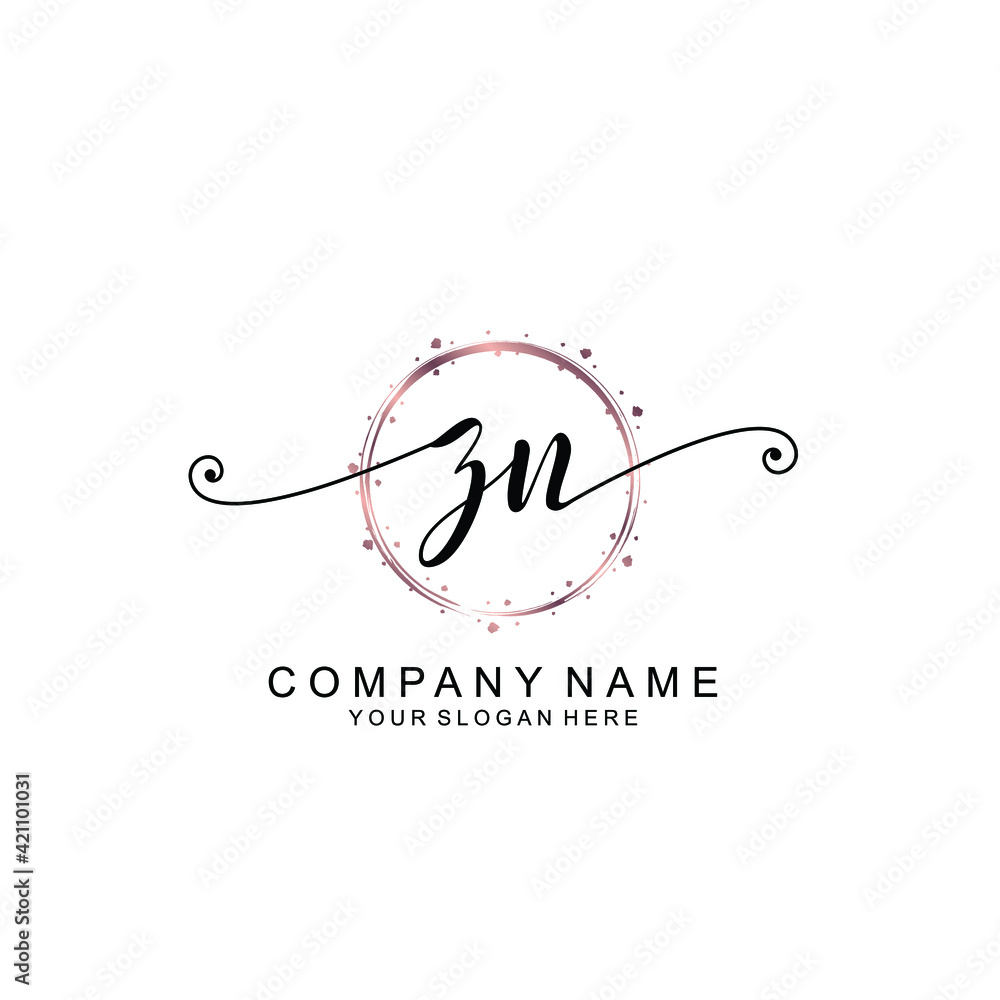 ZN beautiful Initial handwriting logo template