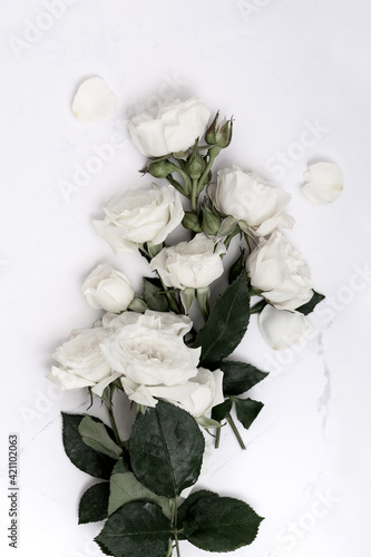 White roses bouquet on marble background