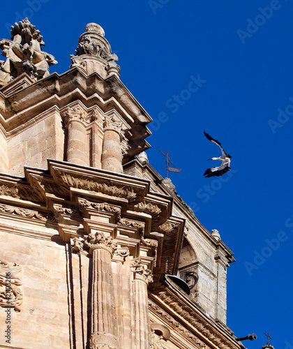 Flying stork against the background of the sky flies on the dome of the Cathedral in Salamanca, Spain.