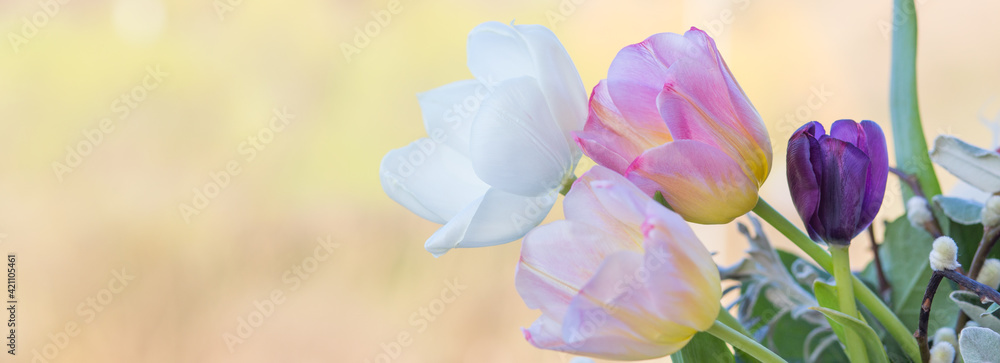 Spring flowers fresh colors easter background 