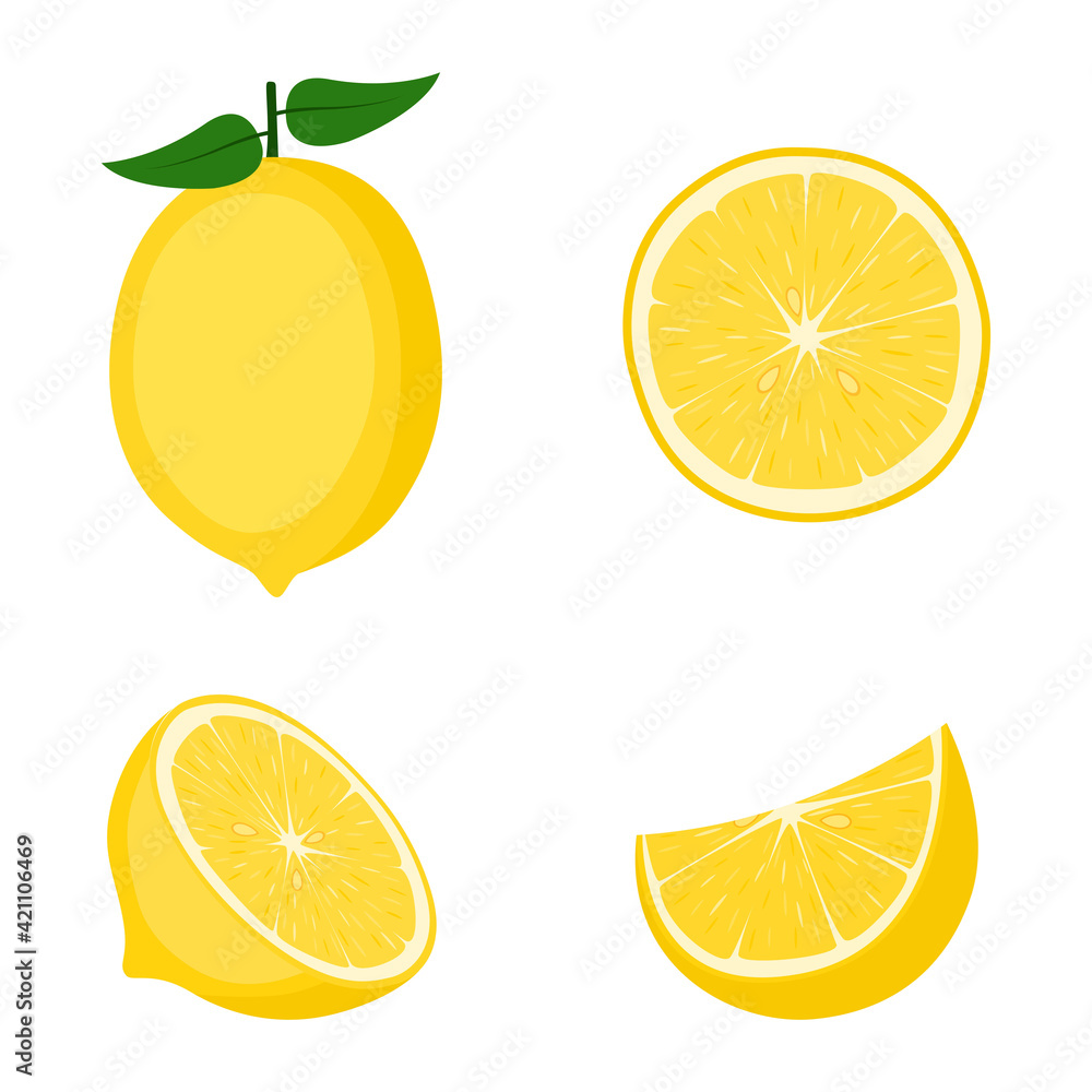 Lemon, whole fruit, half and slices, vector illustration Lemon, whole fruit, half and slices, vector illustration