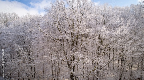 Fototapeta Naklejka Na Ścianę i Meble -  Natura