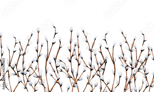 Willow seamless border on white background, watercolor illustration