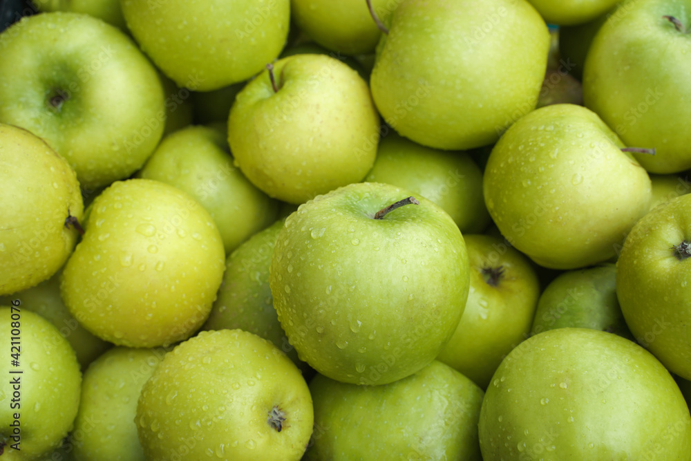 fresh green apples background. harvest of ripe fruit fresh green apples background. harvest of ripe fruit
