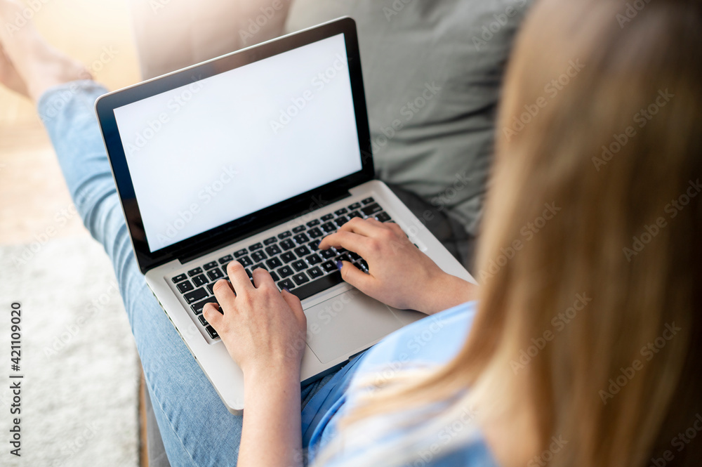 Fototapeta premium young woman using laptop while sitting on comfortable sofa, home interior. Stay at home