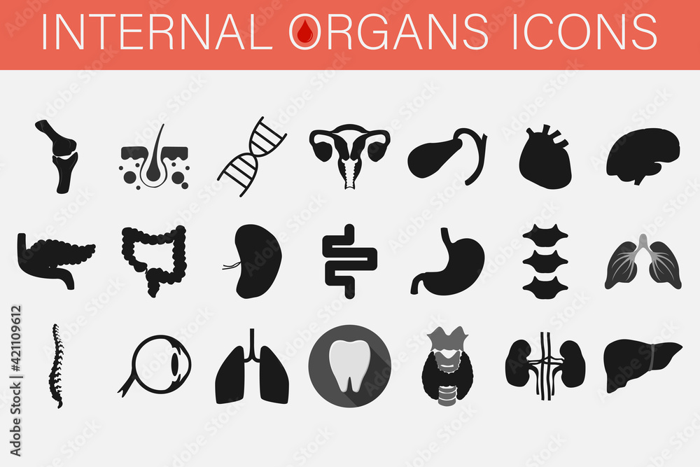 A set of more than a hundred icons of internal organs and parts of man ...