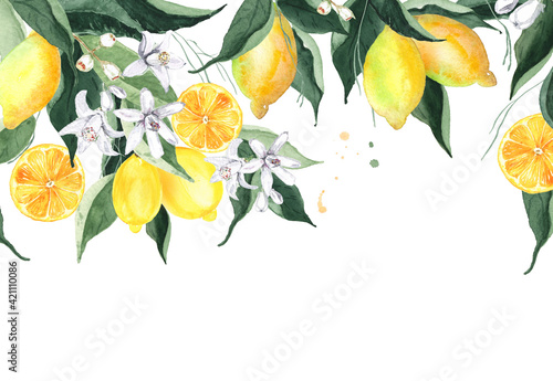 Watercolor lemon decorative border isolated