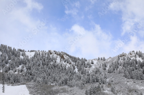 landscape with snow on the mountain 