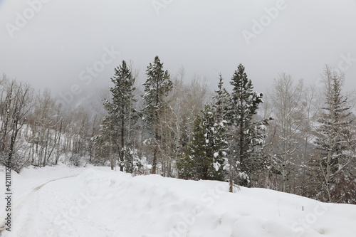 Snow blizzard on a mountain