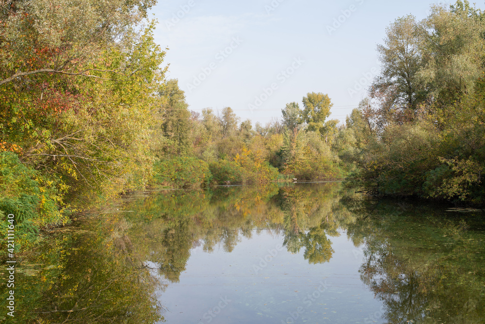 autumn trees reflected in water