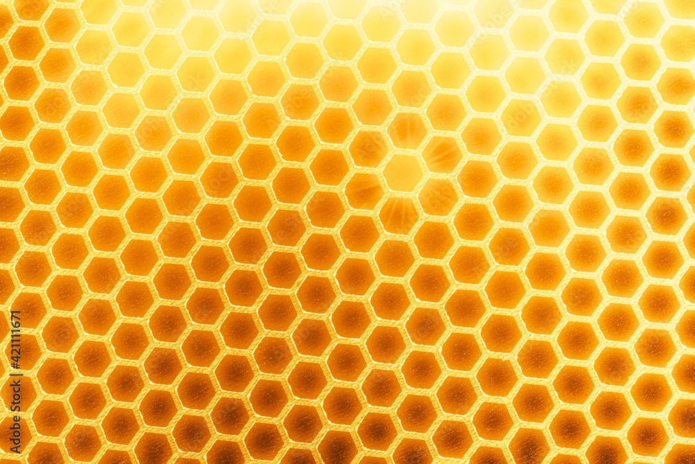 Background with honeycombs, pattern of honey.