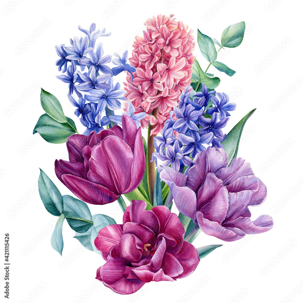 Watercolor spring bouquet on isolated on white background. Set of flowers tulips, hyacinths, eucalyptus Watercolor spring bouquet on isolated on white background. Set of flowers tulips, hyacinths, eucalyptus