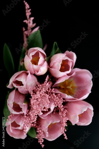 Bouquet of beautiful pink tulips in early spring as a postcard or picture with nice flowers in the black background
