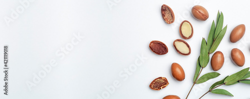 Argan seeds isolated on a white banner background. Argan oil nuts with plant. Cosmetics and natural oils background