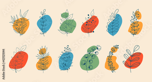 Vector set of nerd elements with circles of different colors on an isolated background. Tropical plants, leaves and branches with flowers. Hand drawn style. For printing on fabric and clothing,
