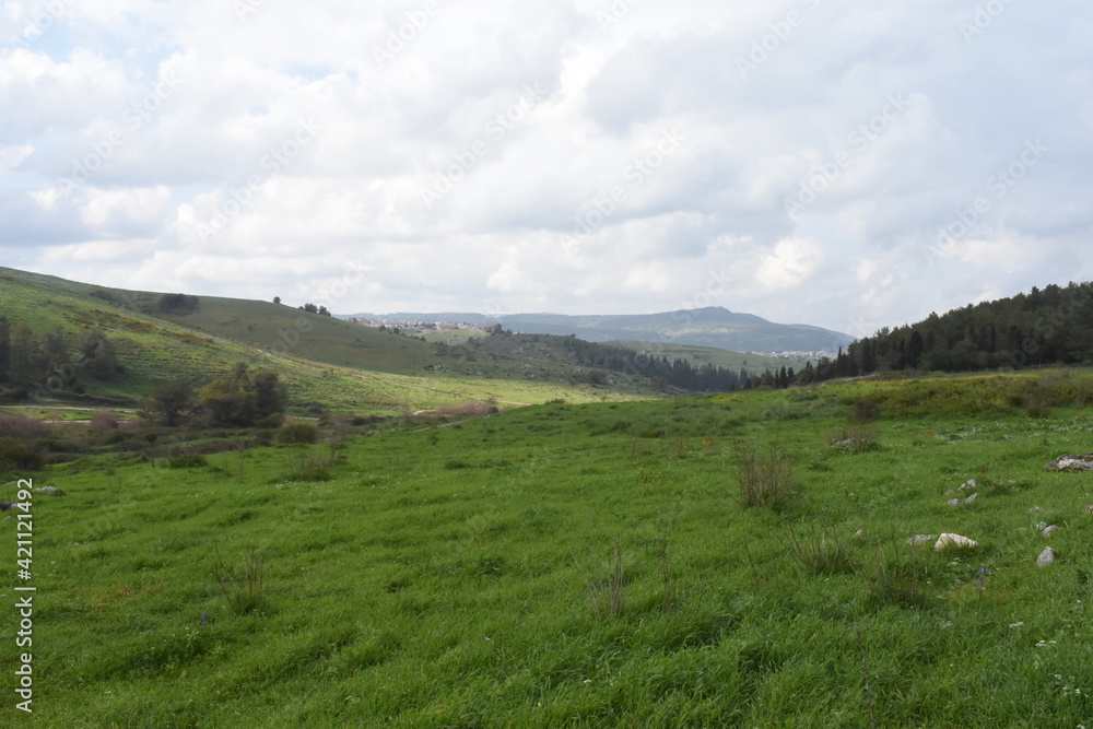 Obraz premium israel nature