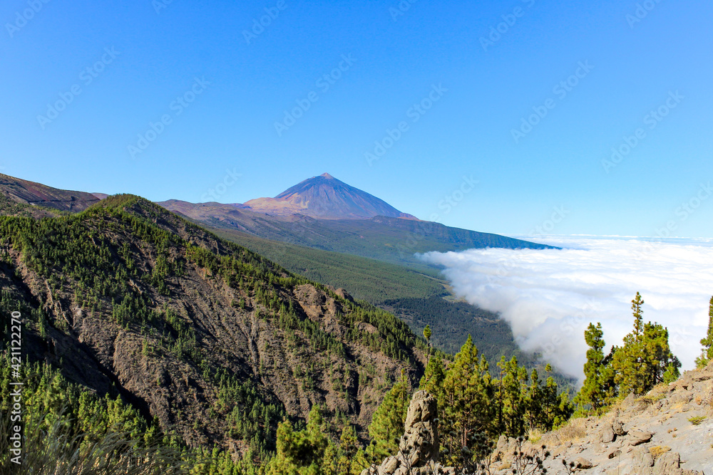 Fototapeta premium Mountainous landscape in Tenerife with green trees and unrivaled views on Islands Canaries