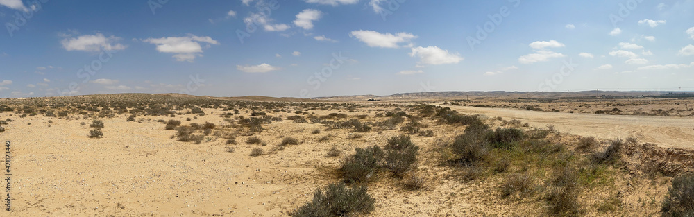 Panorama of the Negev desert
