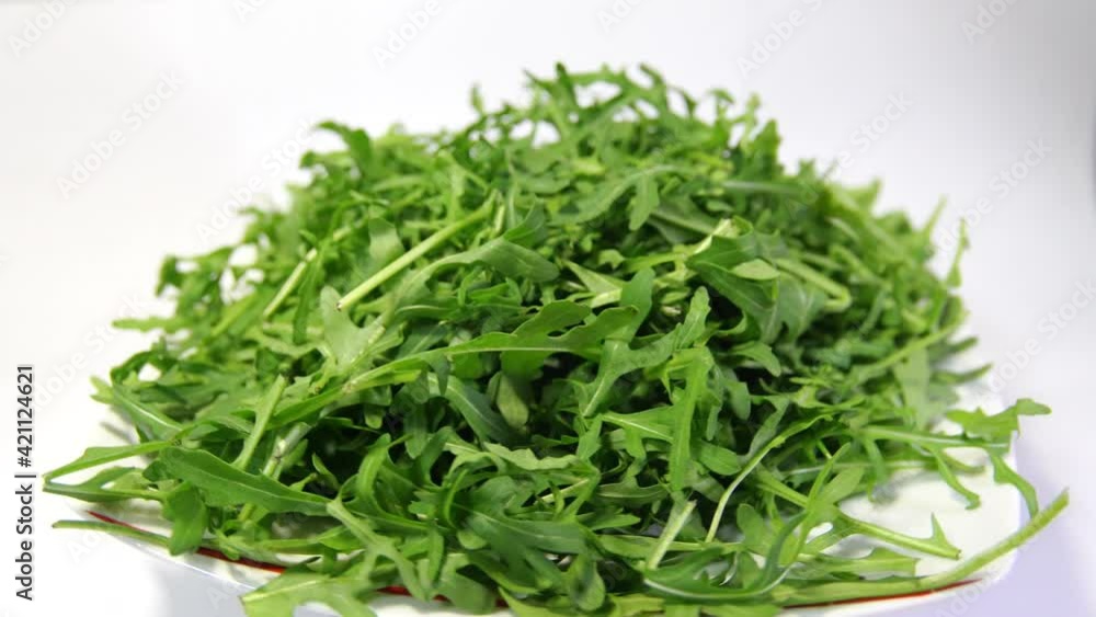 arugula leaves rotating 360 top view.Fresh arugula arugula leaves rotating 360 top view.Fresh arugula