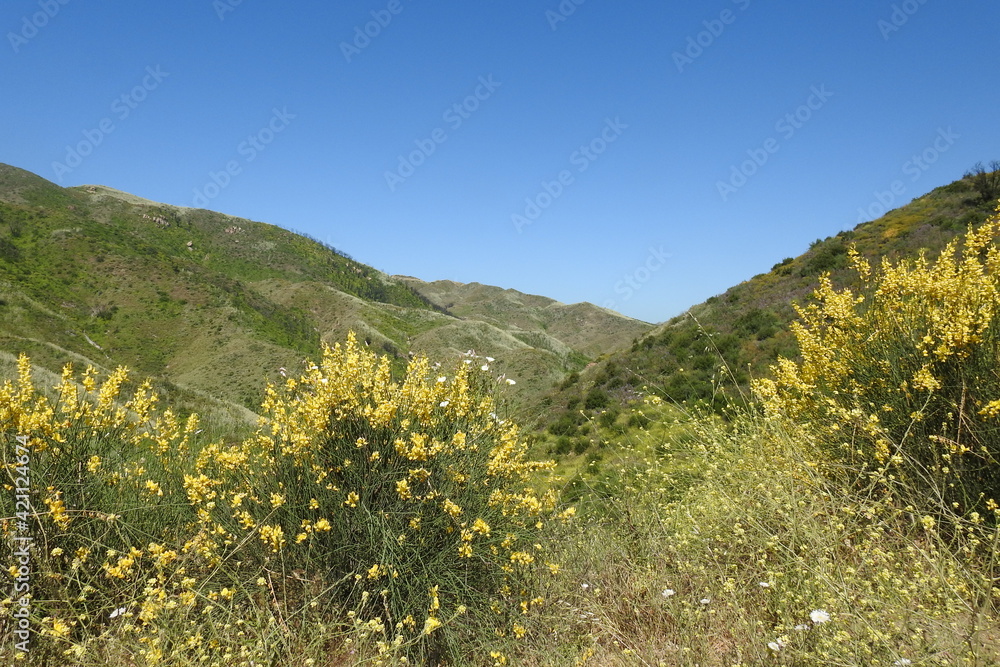 Scenic wilderness of the Santa Monica Mountains, in Ventura County, California.