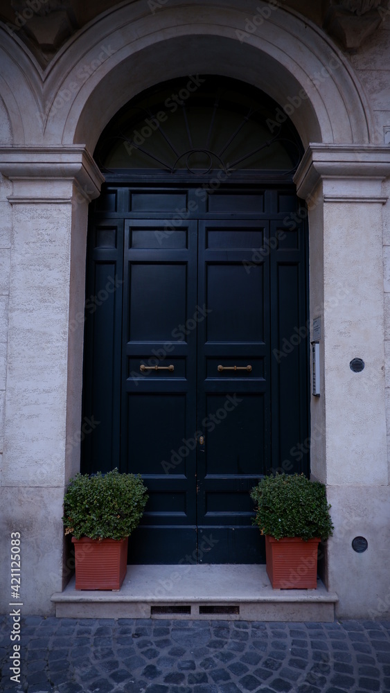 Closed wooden door in the empty room with copy space