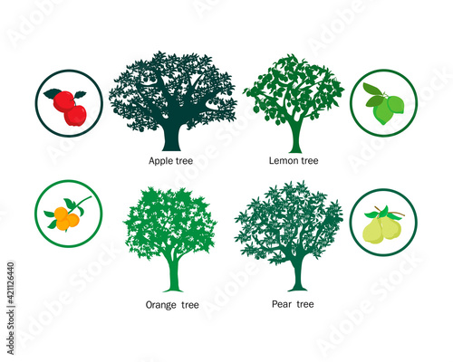 Silhouettes of fruit trees, apple, pear, lemon and orange