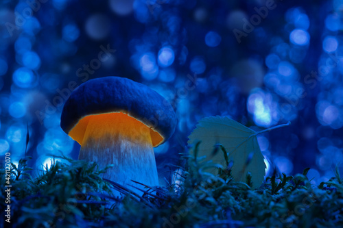 Fantasy of the mushroom world. Glowing mushroom in the forest