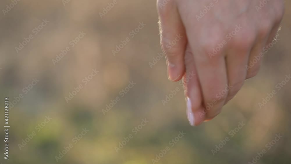 Couple love. Hands video. Sensual. Hand. Nature forest background. Couple love. Hands video. Sensual. Hand. Nature forest background.