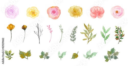 Set of gorgeous individual watercolor flowers and leaves collection