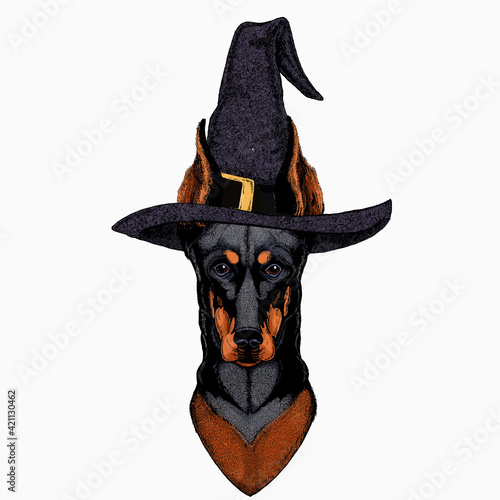Doberman portrait in a captain cap with sunglasses. Vector illustration.