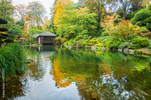 the sun's rays revived the autumn landscape of the japanese garden