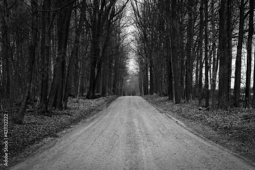 Lonely stretch of dirt road in Michigan 