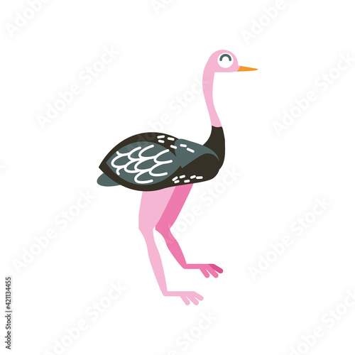 ostrich tropical animal