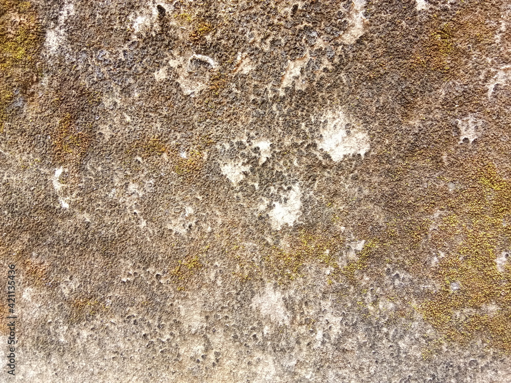 texture of stone texture of stone