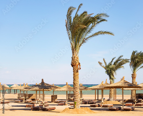 An empty beach in Egypt during the COVID 19 pandemic. The Red Sea coast  a recreation area without people.