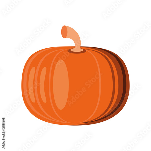 pumpkin fresh food