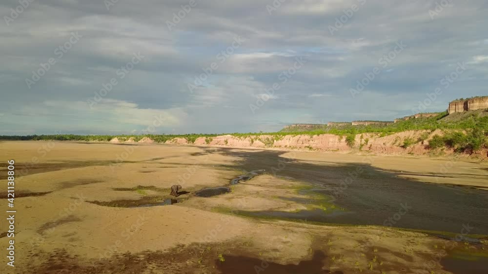 African Elephant in Vast Open Landscape, Gonarezhou National Park, Zimbabwe, Aerial African Elephant in Vast Open Landscape, Gonarezhou National Park, Zimbabwe, Aerial