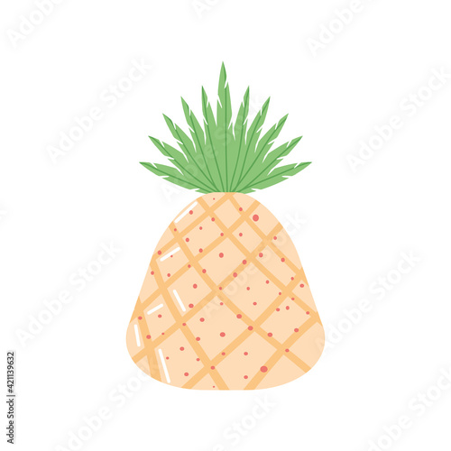tropical fruit pineapple