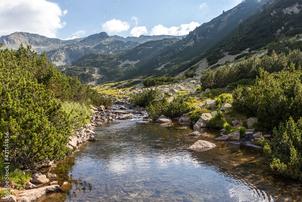 Landscape with Banderitsa River, Pirin Mountain, Bulgaria Landscape with Banderitsa River, Pirin Mountain, Bulgaria