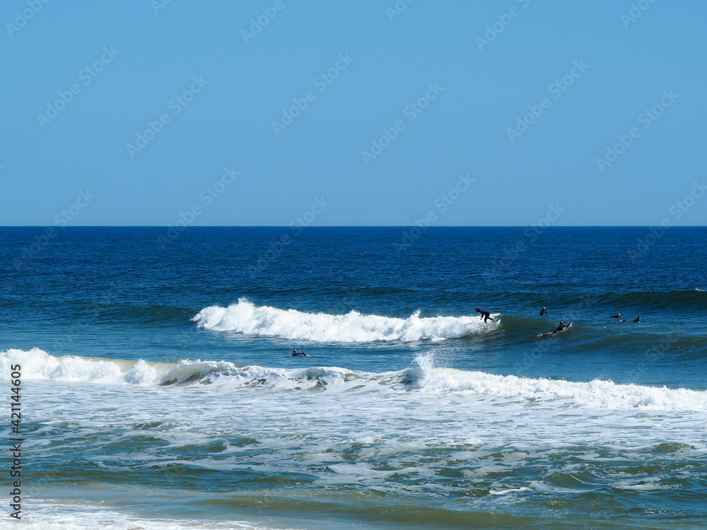Surfers Surfers
