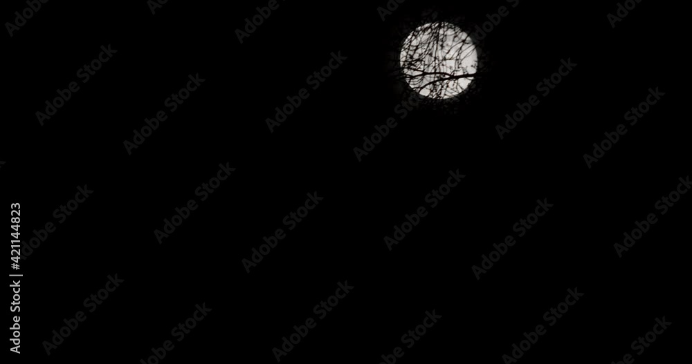 Moonrise and hiding behind trees silhouettes and buildings. Moonrise and hiding behind trees silhouettes and buildings.