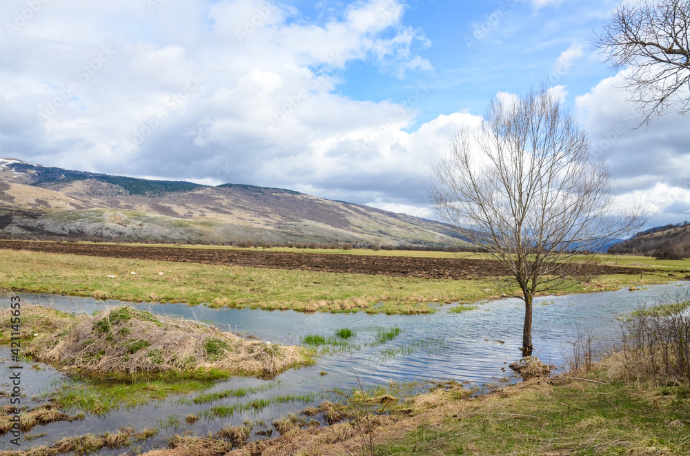 A lone tree in a field. A flooded field surrounded by mountains in the spring. River in nature.