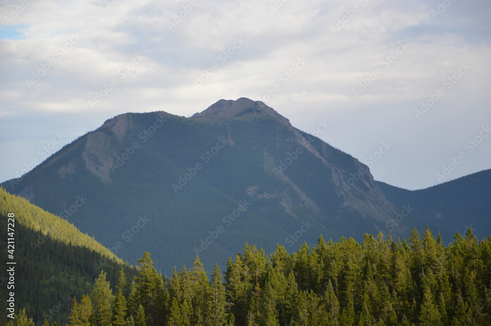Fototapeta premium Mountain in Banff
