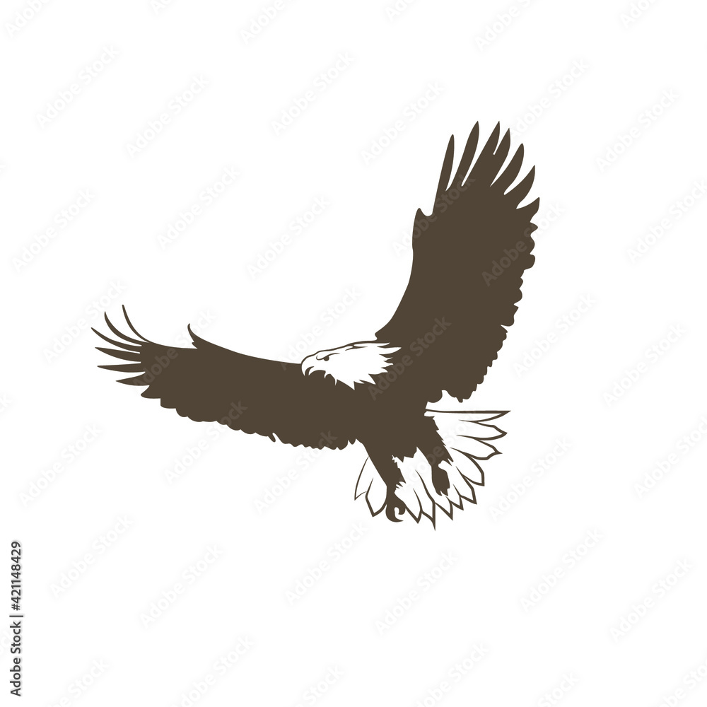 Obraz premium eagle in flight